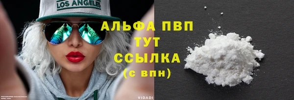 индика Баксан