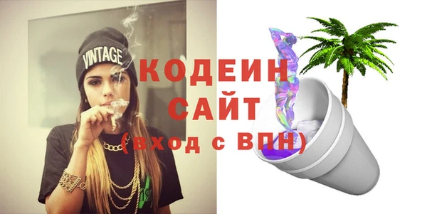 индика Баксан