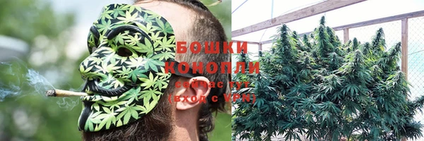индика Баксан