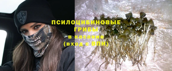 ГАЛЛЮЦИНОГЕННЫЕ ГРИБЫ Балахна