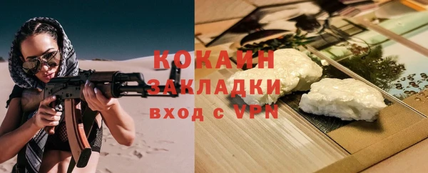 индика Баксан