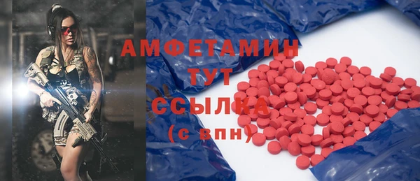 ГАЛЛЮЦИНОГЕННЫЕ ГРИБЫ Балахна