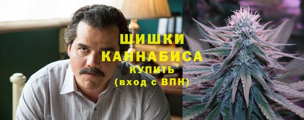 индика Баксан
