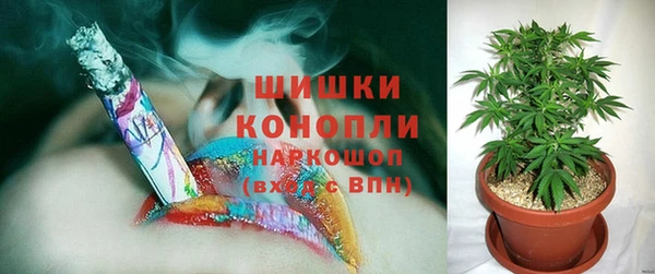 индика Баксан
