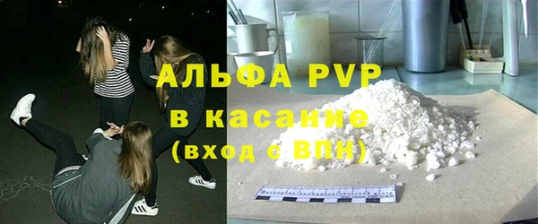 индика Баксан