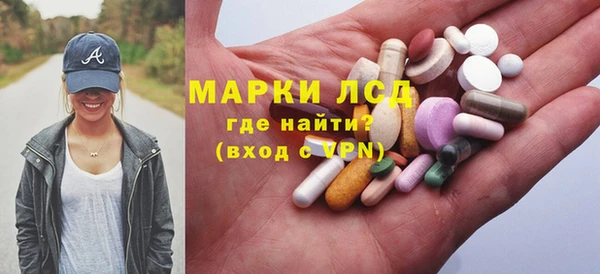индика Баксан